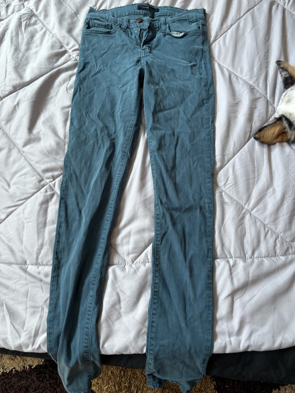 Flying Monkey Slim Skinny Pants in Teal